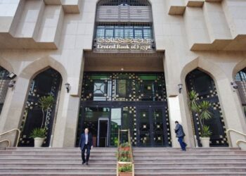 Egypt’s Treasury Bank: The Engine of Government Financing